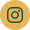 A green and yellow icon of an instagram logo.