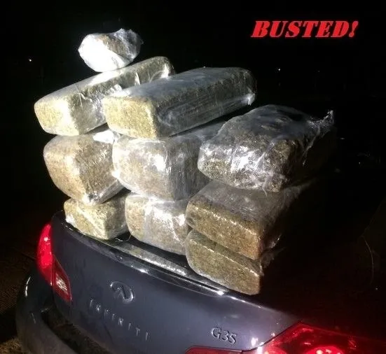 A car with a bunch of marijuana in the back.